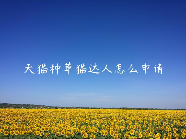 天貓種草貓達(dá)人怎么申請(qǐng)